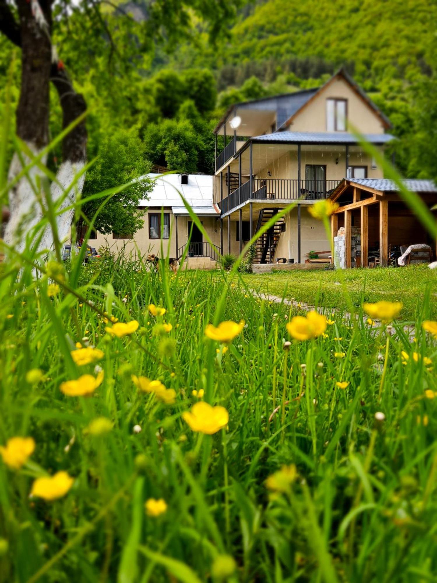 House B&B Mestia Exteriör bild