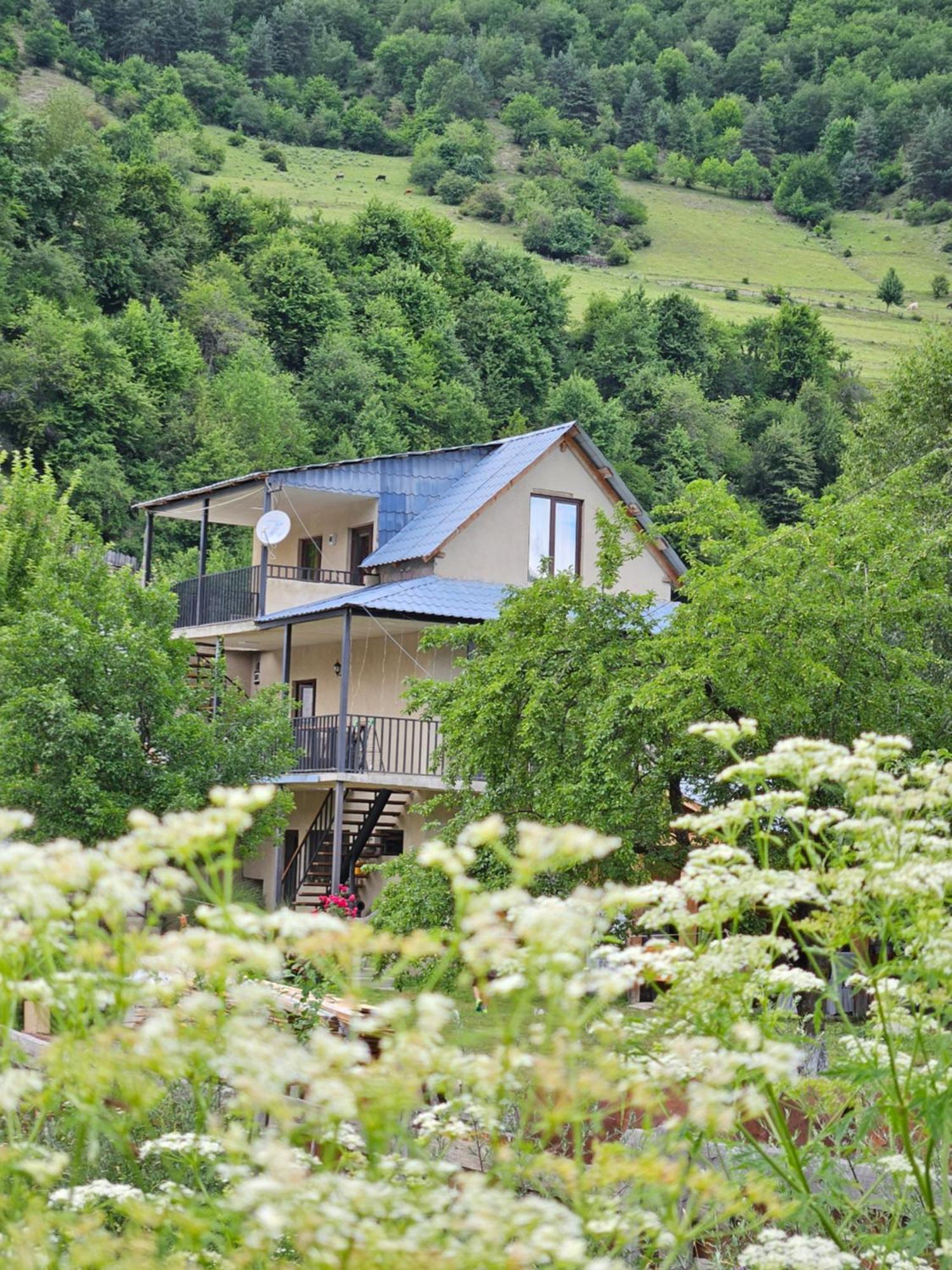 House B&B Mestia Exteriör bild
